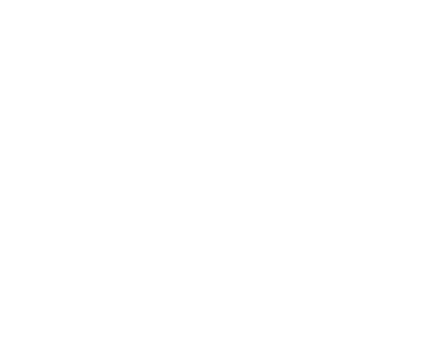 Homsa Heimsall Group